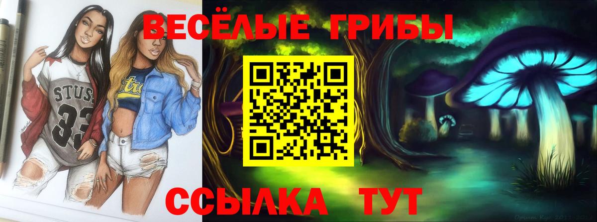 Галлюциногенные грибы мухоморы Вязьма